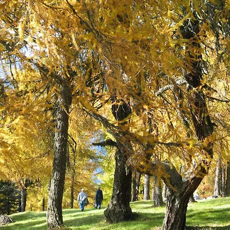 Дом отдыха Sternhof *