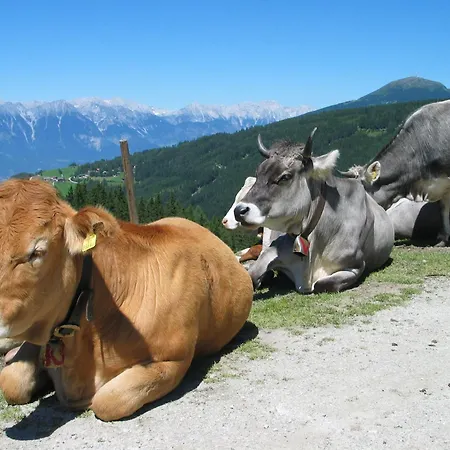 Prázdninový dům Sternhof *